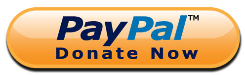 paypal donate now